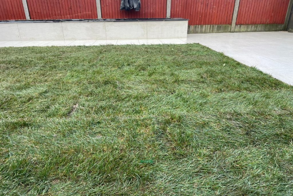 Porcelain Tiled Patio with New Lawn and Raised Flowerbeds in Celbridge, Co. Kildare (4)
