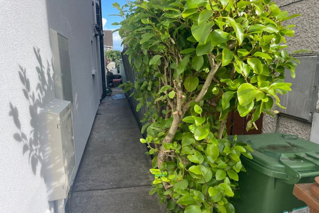 Patio with Silver Granite Slabs, New Lawn and Fencing in Swords, Dublin (1)