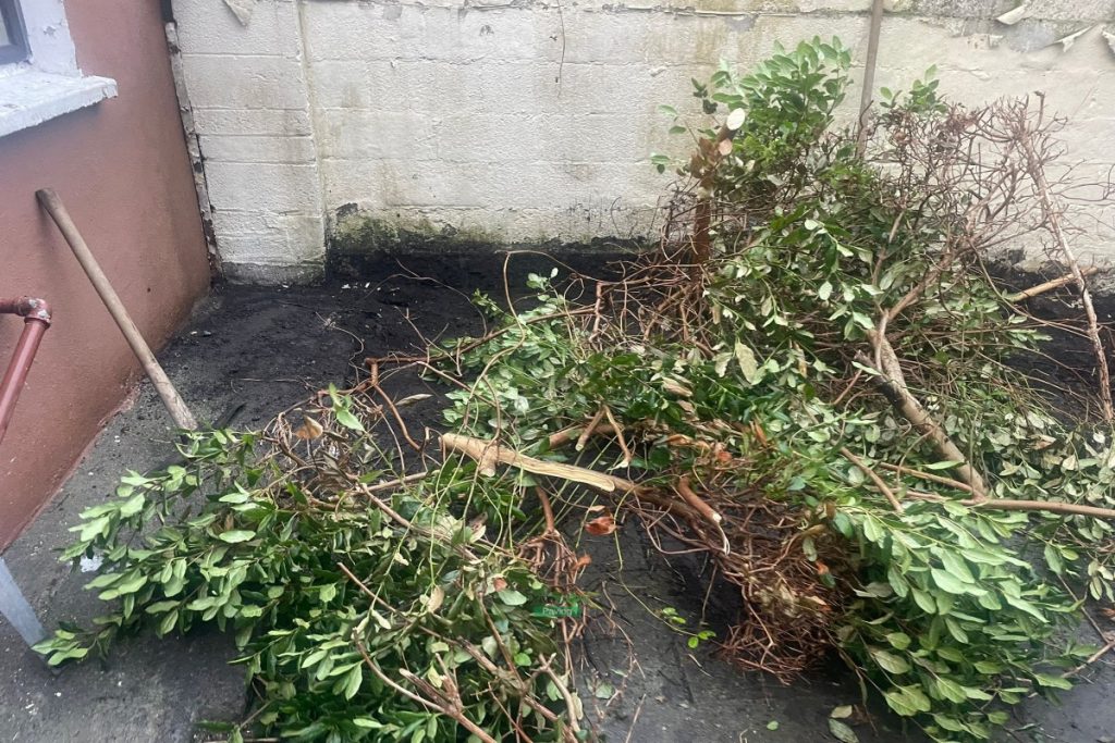 Patio with Classic Slabs in Smithfield, Dublin (2)