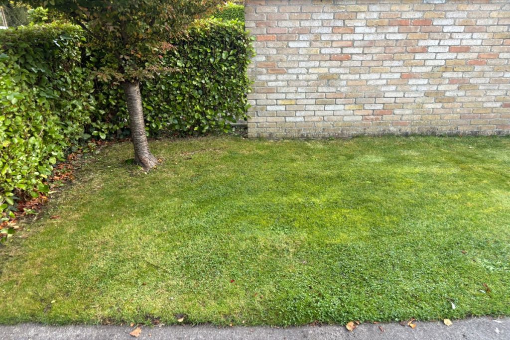 SMA Asphalt Driveway with Gold Granite Cobblestones in Swords, Co. Dublin (4)