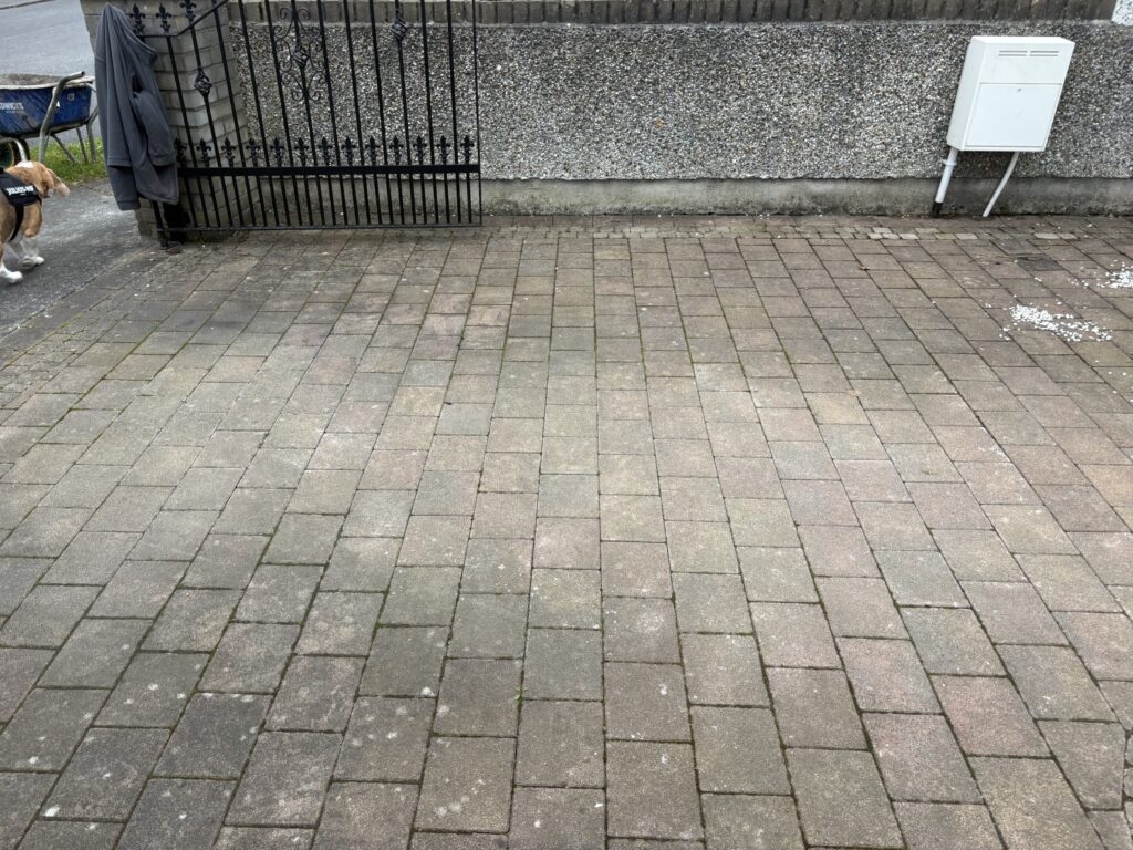 project-20260409-160421-00095