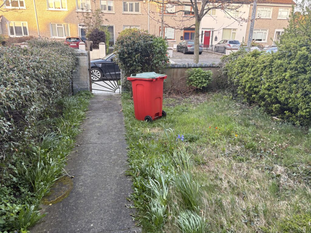 project-20260415-191641-00108