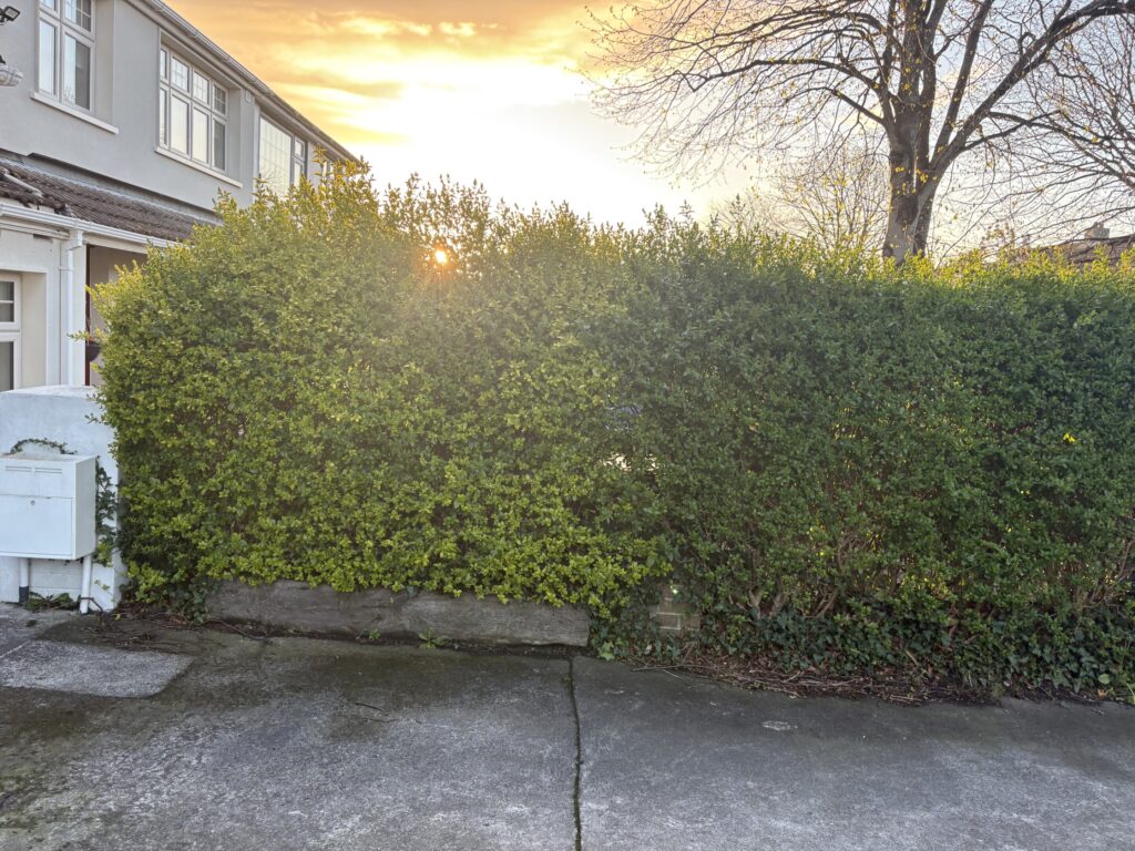 project-20260418-170906-00125