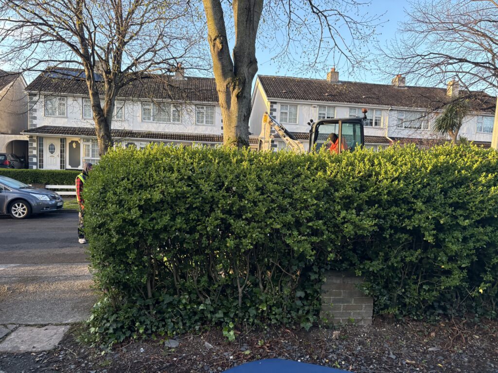 project-20260418-170910-00129