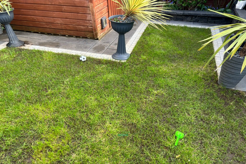 Patio Lawns in Ringsend